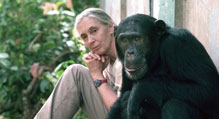 黑猩猩的珍·古道尔博士