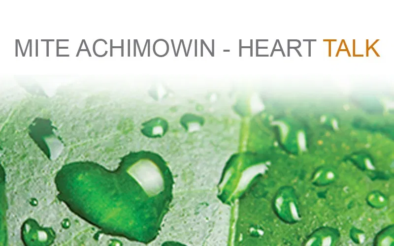 螨Achimowin项目