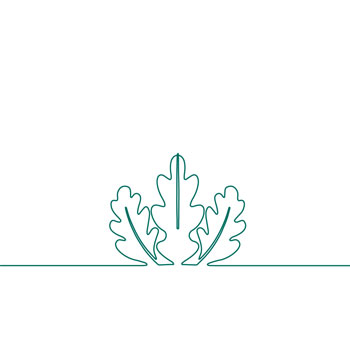 LEED logo of a leaf